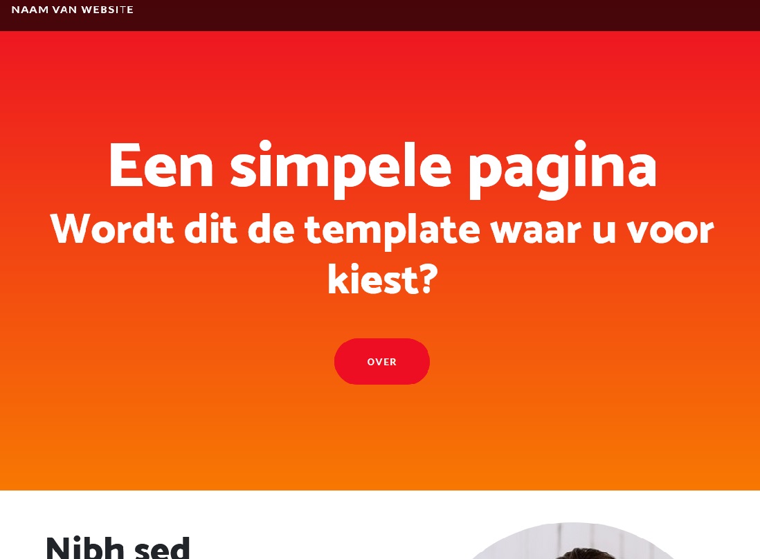 Preview van de One Pager template.